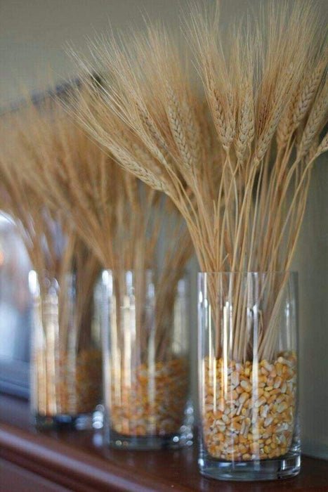 Buy Dried Flowers & Fragrance - Natural Dried Flower Wheat Grass Bouquet Set of 30 For Home Decor by Arte Casa on IKIRU online store