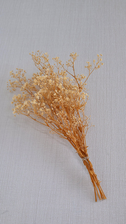 Buy Dried Flowers & Fragrance - Natural Preserved Baby's Breath | Dried Flower for Pot by IDIKA Living on IKIRU online store