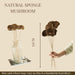 Buy Dried Flowers & Fragrance - Natural Sponge Mushroom-Set Of 5 by Arte Casa on IKIRU online store