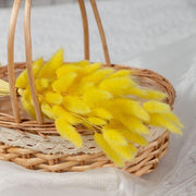 Buy Dried Flowers & Fragrance - Naturally Dried Flower Pampas Bunch | Bunny Tails Bouquet For Home Decor by Arte Casa on IKIRU online store