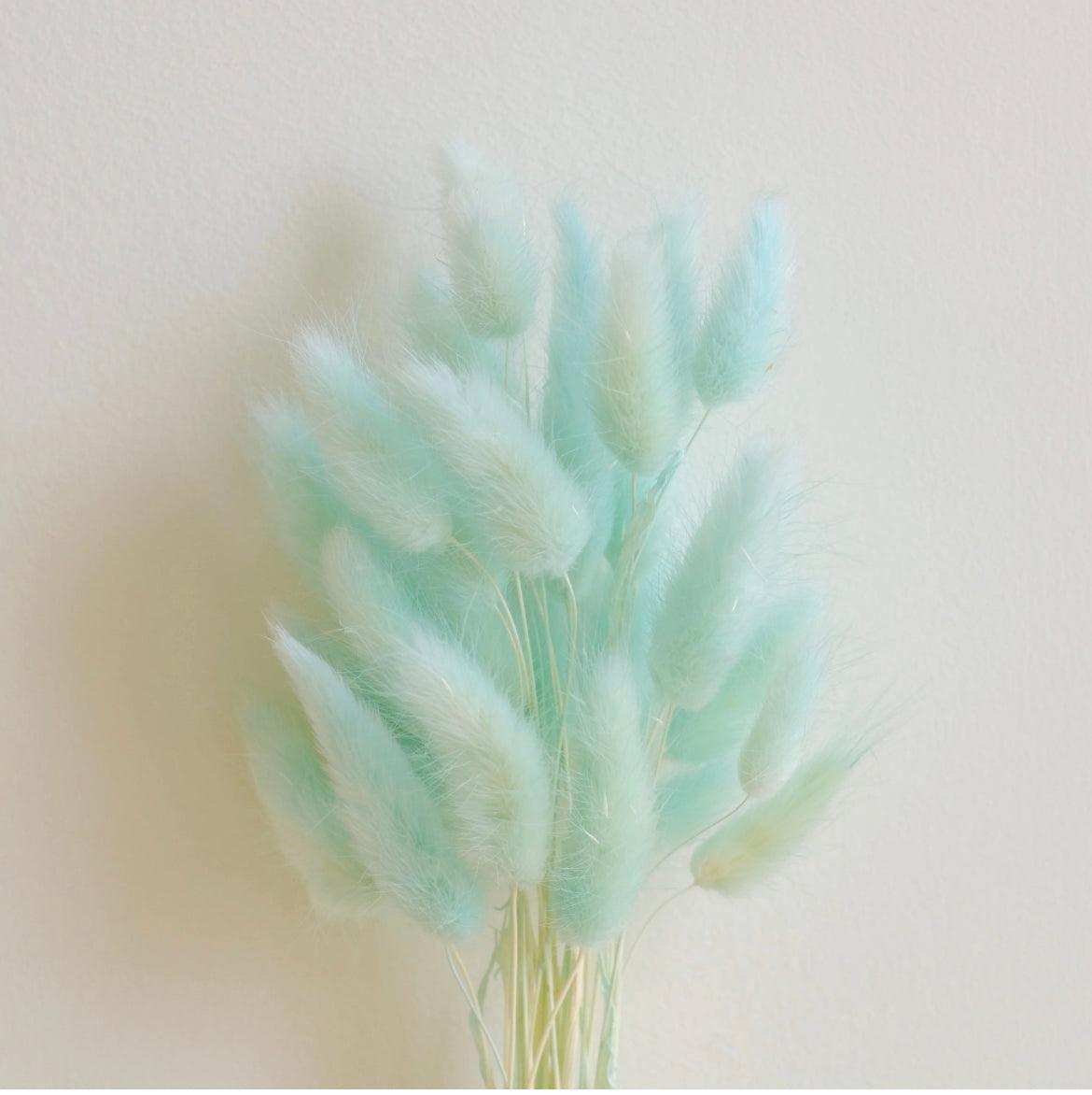 Buy Dried Flowers & Fragrance - Naturally Dried Flower Pampas Bunch | Bunny Tails Bouquet For Home Decor by Arte Casa on IKIRU online store