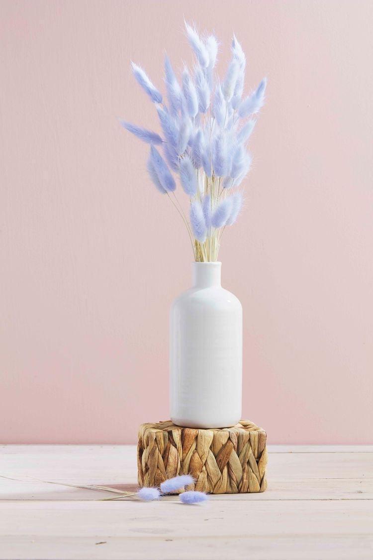 Buy Dried Flowers & Fragrance - Naturally Dried Flower Pampas Bunch | Bunny Tails Bouquet For Home Decor by Arte Casa on IKIRU online store