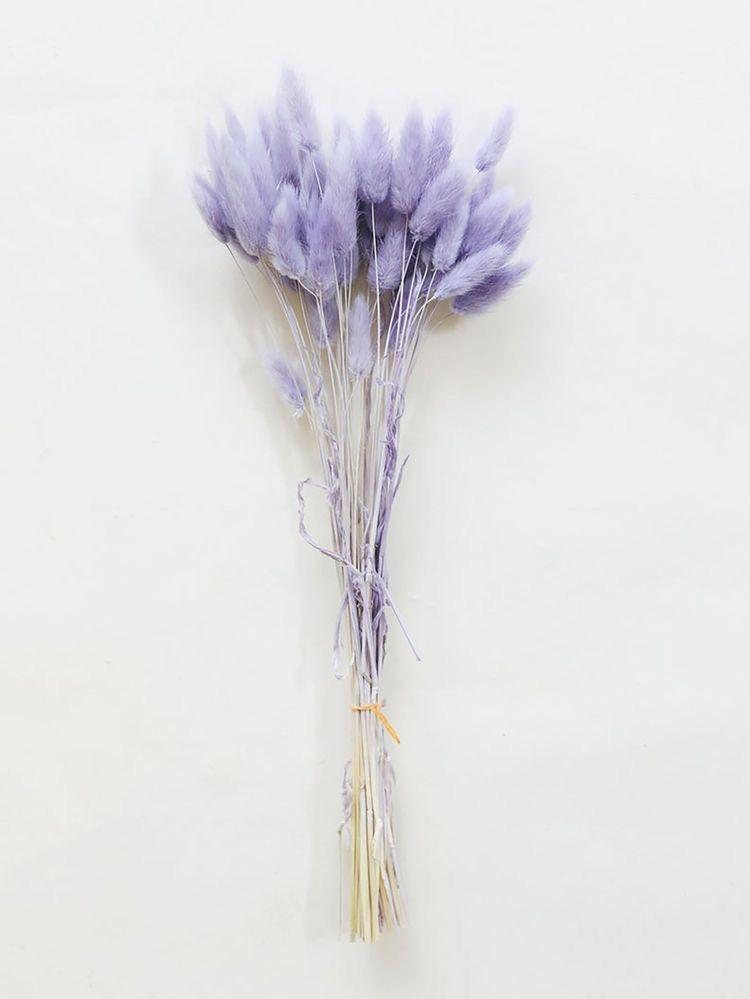 Buy Dried Flowers & Fragrance - Naturally Dried Flower Pampas Bunch | Bunny Tails Bouquet For Home Decor by Arte Casa on IKIRU online store