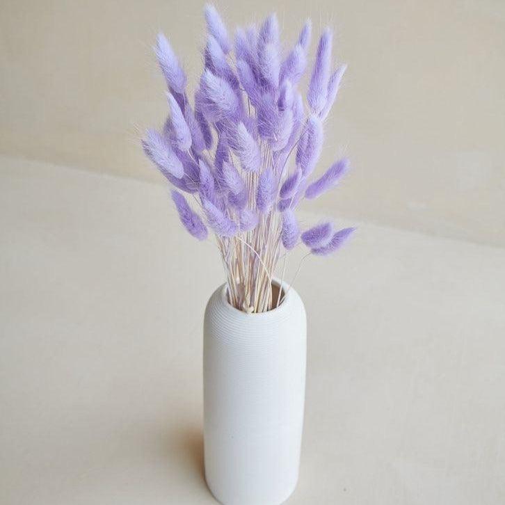 Buy Dried Flowers & Fragrance - Naturally Dried Flower Pampas Bunch | Bunny Tails Bouquet For Home Decor by Arte Casa on IKIRU online store