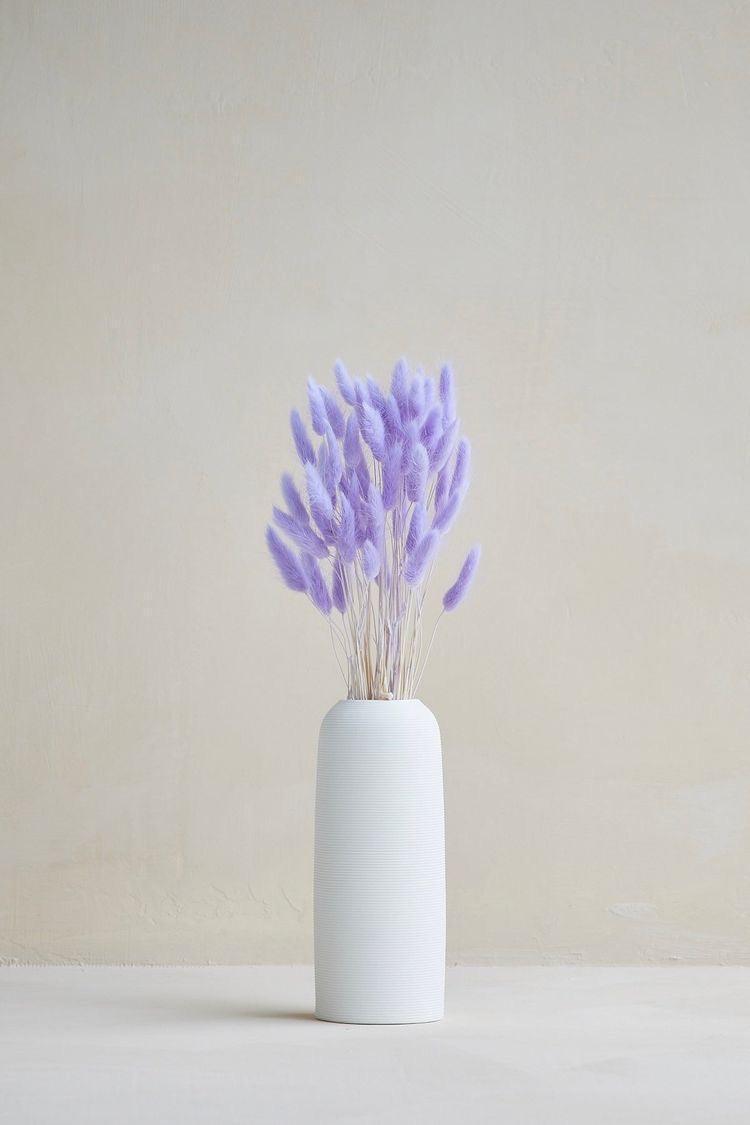 Buy Dried Flowers & Fragrance - Naturally Dried Flower Pampas Bunch | Bunny Tails Bouquet For Home Decor by Arte Casa on IKIRU online store