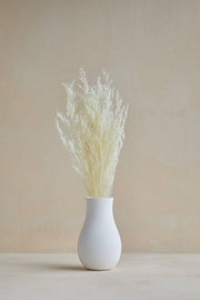 Buy Dried Flowers & Fragrance - Naturally Dried Limonium White Grass Reed Bunch For Vase Filler & Home Decor by Arte Casa on IKIRU online store