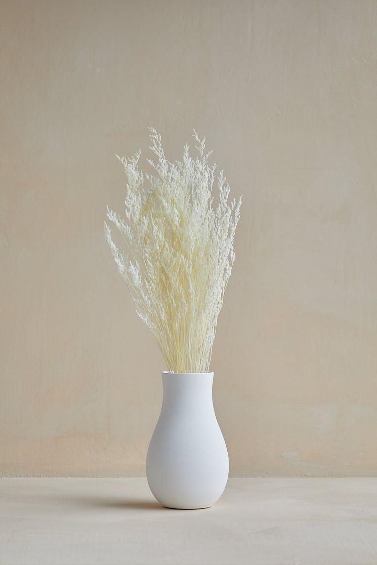 Buy Dried Flowers & Fragrance - Naturally Dried Limonium White Grass Reed Bunch For Vase Filler & Home Decor by Arte Casa on IKIRU online store