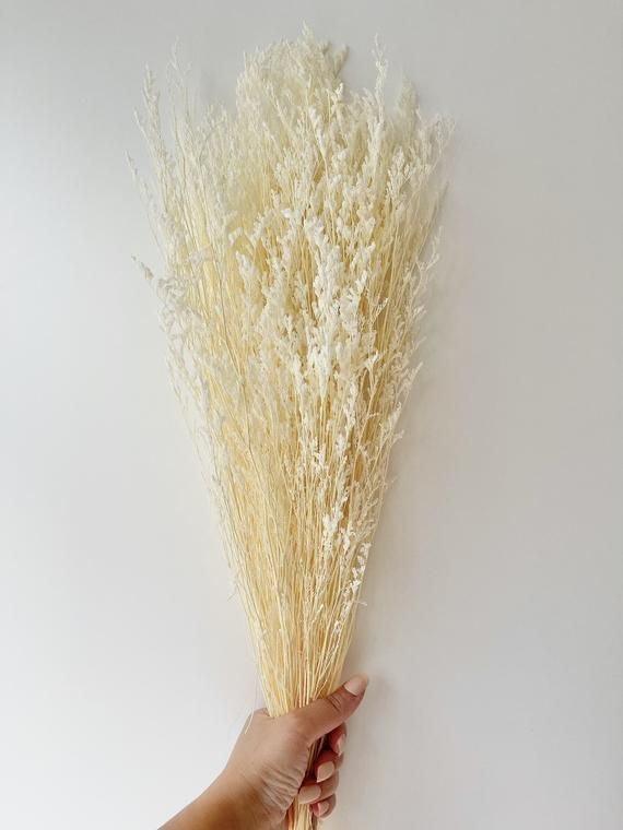 Buy Dried Flowers & Fragrance - Naturally Dried Limonium White Grass Reed Bunch For Vase Filler & Home Decor by Arte Casa on IKIRU online store