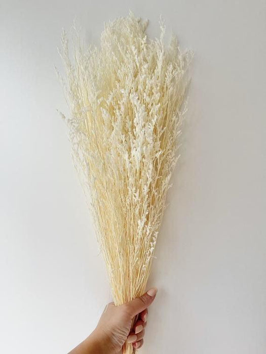 Buy Dried Flowers & Fragrance - Naturally Dried Limonium White Grass Reed Bunch For Vase Filler & Home Decor by Arte Casa on IKIRU online store