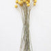 Buy Dried Flowers & Fragrance - Naturally Dried Yellow & Green Billy Ball and Eucalyptus Flower Bunch For Home Decor by Arte Casa on IKIRU online store