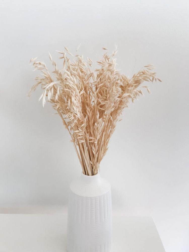 Buy Dried Flowers & Fragrance - Oats Grass/Havana Grass by Arte Casa on IKIRU online store