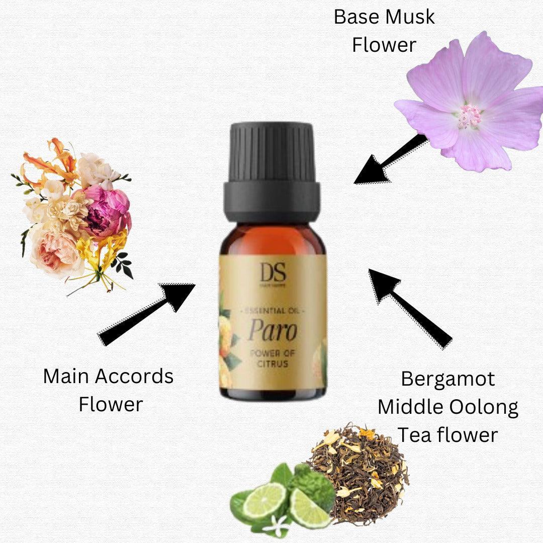 Buy Dried Flowers & Fragrance - Oil Diffuser | Oil Diffuser for Home Bathroom Fragrance by Chann Studios on IKIRU online store