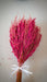 Buy Dried Flowers & Fragrance - Pink Alsi Bunch by IDIKA Living on IKIRU online store