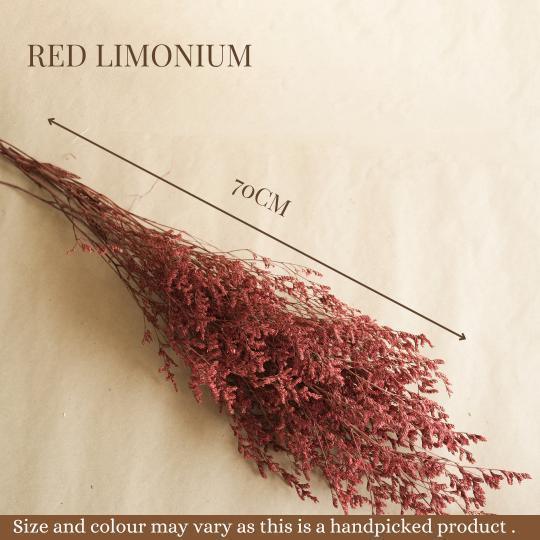 Buy Dried Flowers & Fragrance - Red Limonium by Arte Casa on IKIRU online store