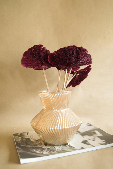 Buy Dried Flowers & Fragrance - Red Sponge Mushroom -Set Of 5 by Arte Casa on IKIRU online store