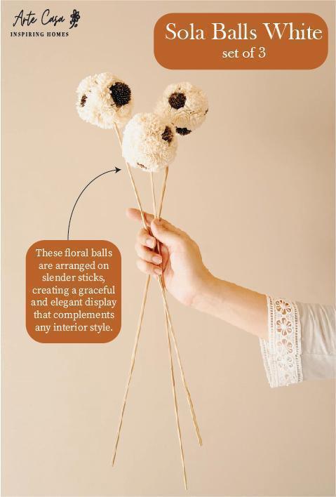 Buy Dried Flowers & Fragrance - Sola Balls by Arte Casa on IKIRU online store