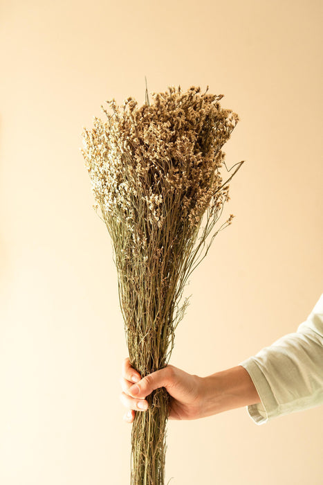 Buy Dried Flowers & Fragrance - Star Grass Vase Filler by Arte Casa on IKIRU online store