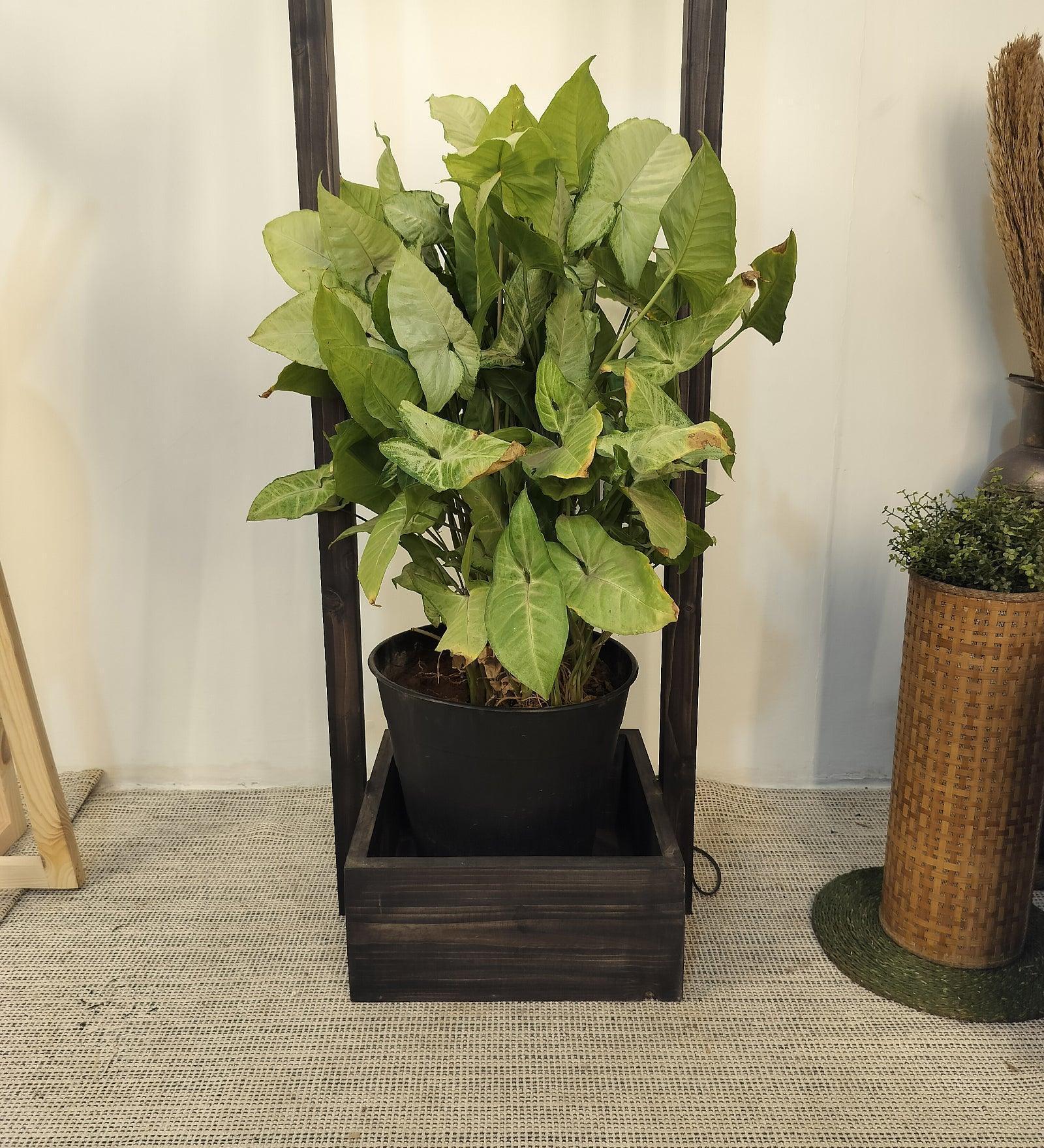 Buy Floor Lamp - Lyon Wooden Floor Lamp | Standing Lamp for Home by Symplify on IKIRU online store