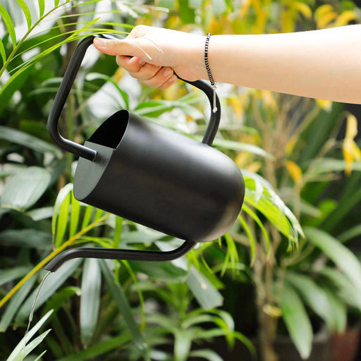 Buy garden decor - Modern Metallic Watering Can With Handle For Garden & Home by Home4U on IKIRU online store