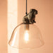 Buy Hanging Lights - Modern Pooch Glass Finish Pendant Hanging Lamp Light For Home Decor by Orange Tree on IKIRU online store
