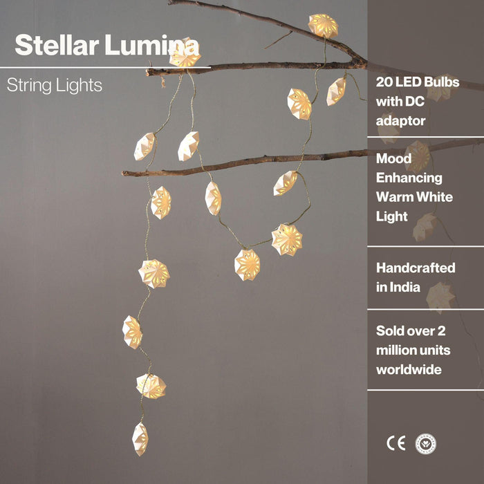 Buy Hanging Lights - Off White 20 LED Bulb String Fairy Lights For Living Room And Home Decoration by Fig on IKIRU online store