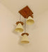 Buy Hanging Lights - Propel Brown Wooden Cluster Hanging Light by Symplify on IKIRU online store