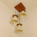 Buy Hanging Lights - Propel Brown Wooden Cluster Hanging Light by Symplify on IKIRU online store