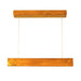 Buy Hanging Lights - Slimline 24 Brown Wooden LED Hanging Lamp by Symplify on IKIRU online store