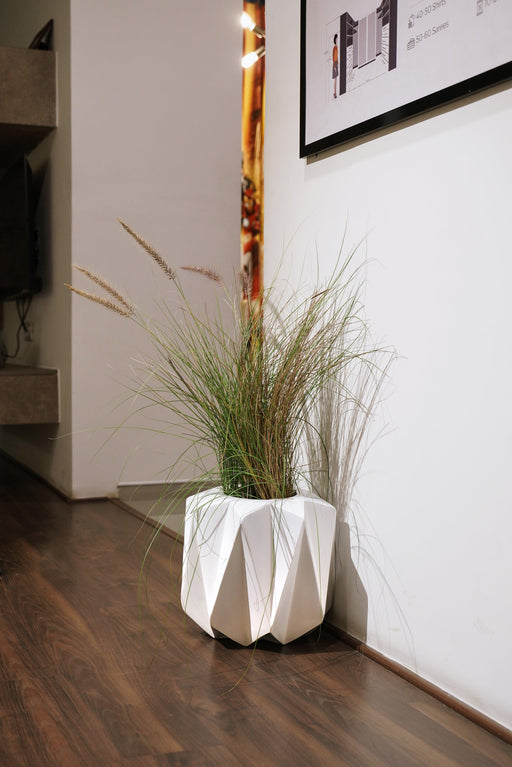 Buy - Modern Fiberglass Floor Planter | Standing Plant & Flower Pot For Home Decoration by Lloka on IKIRU online store