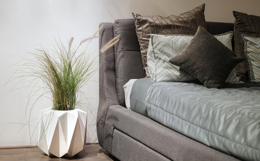 Buy - Modern Fiberglass Floor Planter | Standing Plant & Flower Pot For Home Decoration by Lloka on IKIRU online store