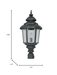 Buy Outdoor Lights - Black Aluminium Crinkle Medium Exterior Gate Light Lamp For Outdoor Decor by Fos Lighting on IKIRU online store