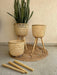 Buy Planter - Bamboo Handwoven Plant Pot With Removable Tripod Legs | Planter Stand For Living Room & Balcony by Tesu on IKIRU online store