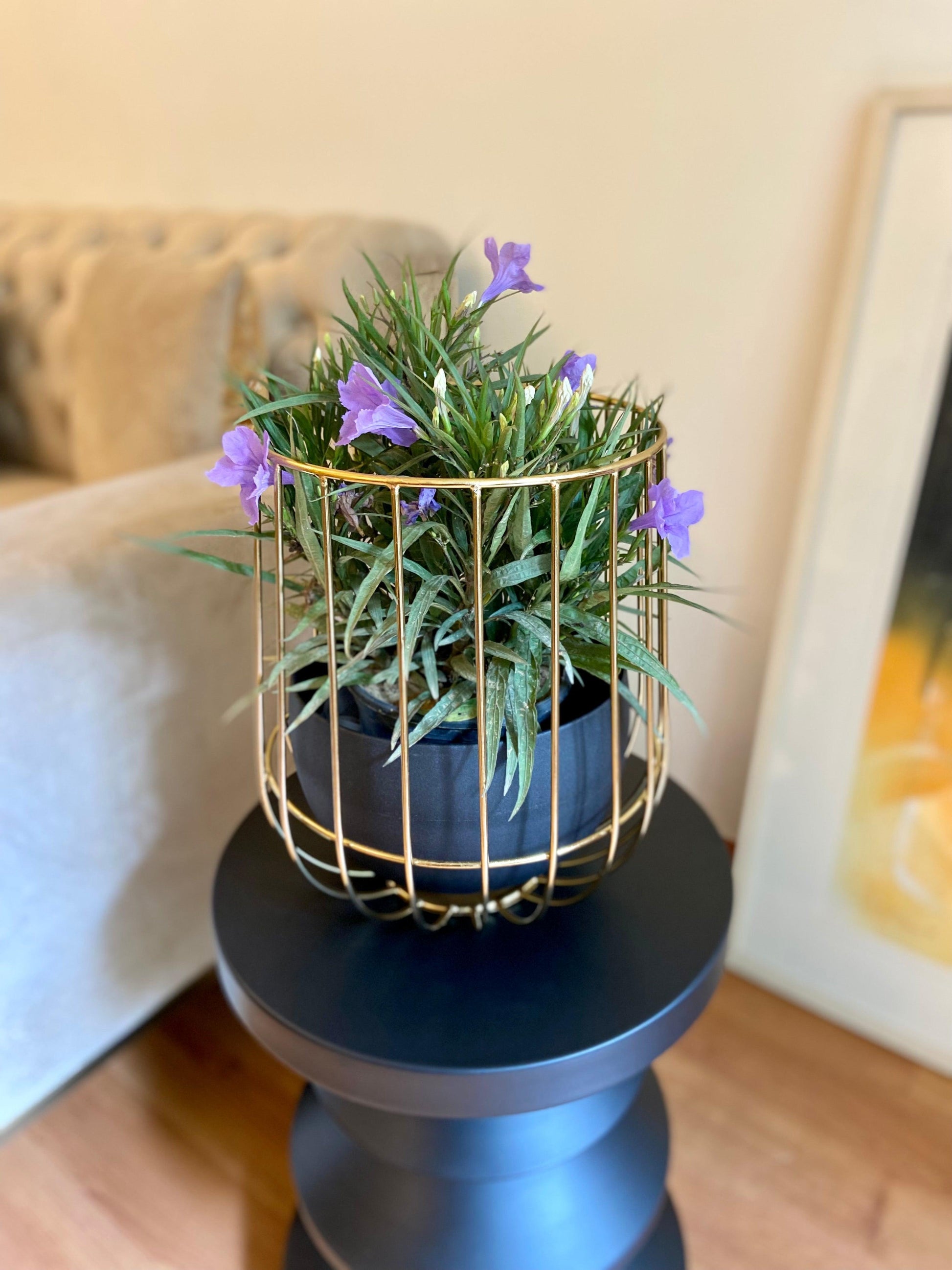 Buy Planter - Black & Golden Metallic Caged Planter | Modern Table Flower Pot For Home Decor by House of Trendz on IKIRU online store