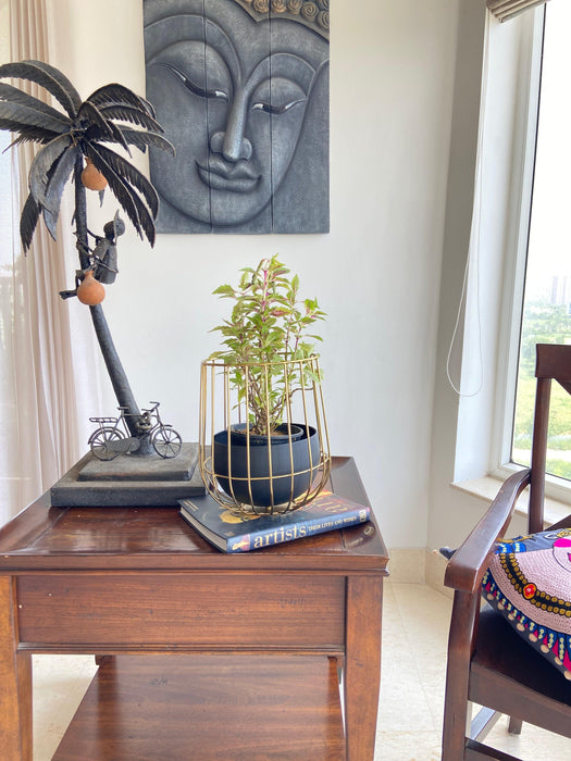 Buy Planter - Black & Golden Metallic Caged Planter | Modern Table Flower Pot For Home Decor by House of Trendz on IKIRU online store