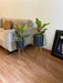 Buy Planter - Black & Golden Metallic Planter on Tripod Set of 2 For Living Room & Home Decor by House of Trendz on IKIRU online store