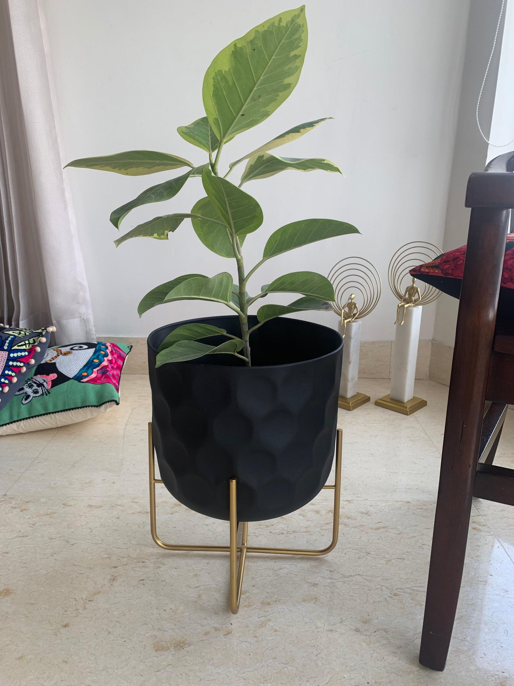 Buy Planter - Black Metal Bella Patterned Floor Planter | Standing Flower Pot Indoor & Outdoor Decor by House of Trendz on IKIRU online store