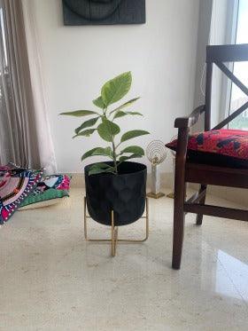Buy Planter - Black Metal Bella Patterned Floor Planter | Standing Flower Pot Indoor & Outdoor Decor by House of Trendz on IKIRU online store