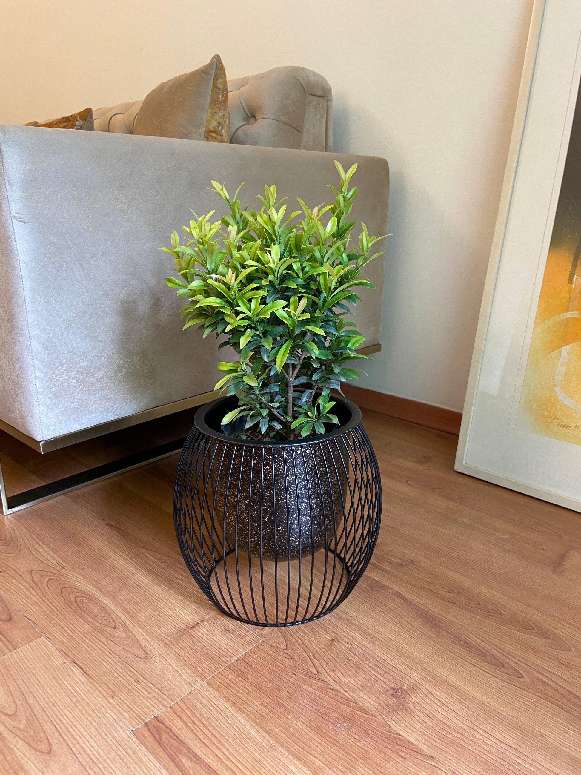 Buy Planter - Black Metal Decorative Bird Cage Speckled Planter | Table Top Flower Pot For Home Decor by House of Trendz on IKIRU online store