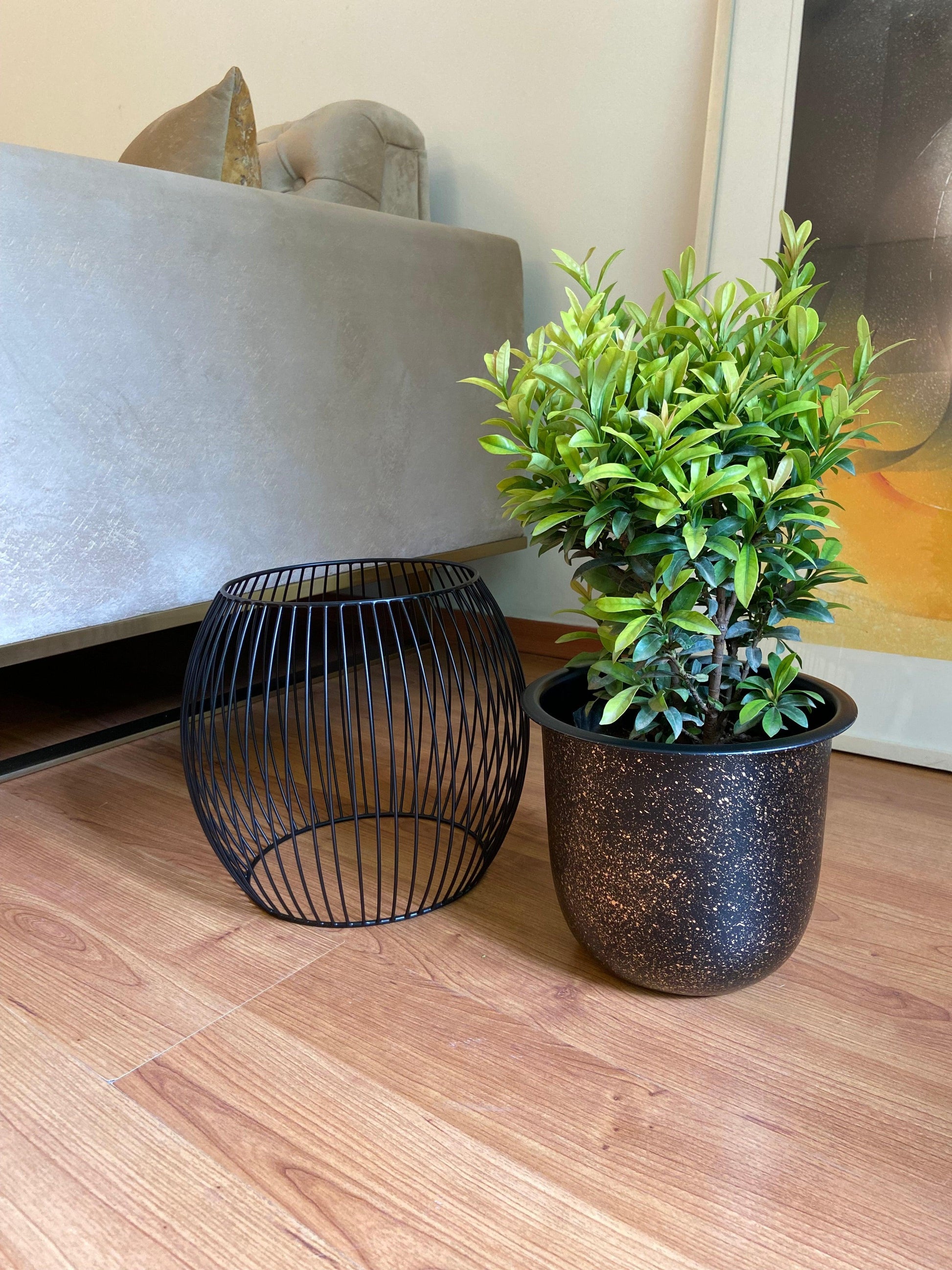 Buy Planter - Black Metal Decorative Bird Cage Speckled Planter | Table Top Flower Pot For Home Decor by House of Trendz on IKIRU online store