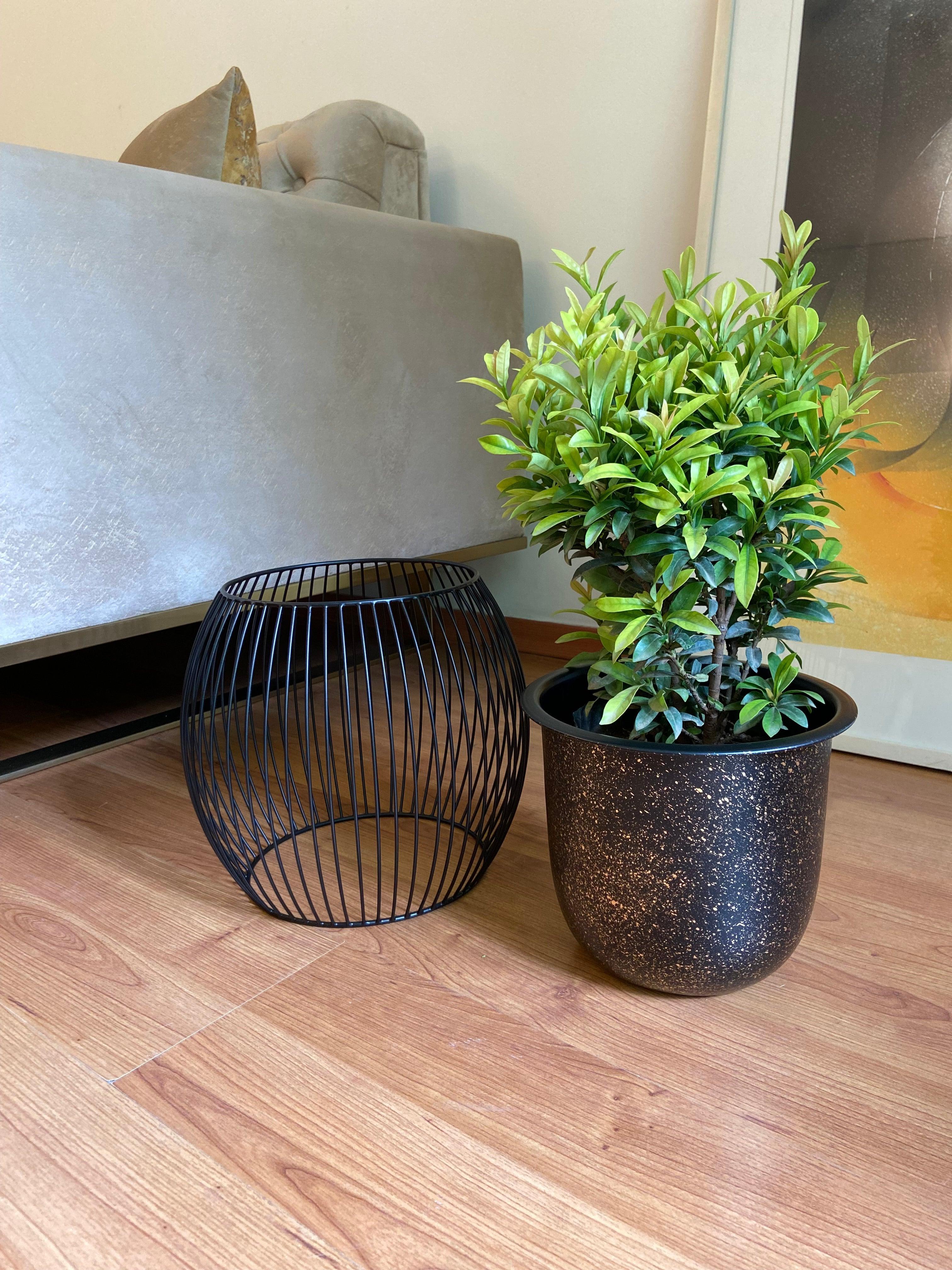 Buy Planter - Black Metal Decorative Bird Cage Speckled Planter | Table Top Flower Pot For Home Decor by House of Trendz on IKIRU online store