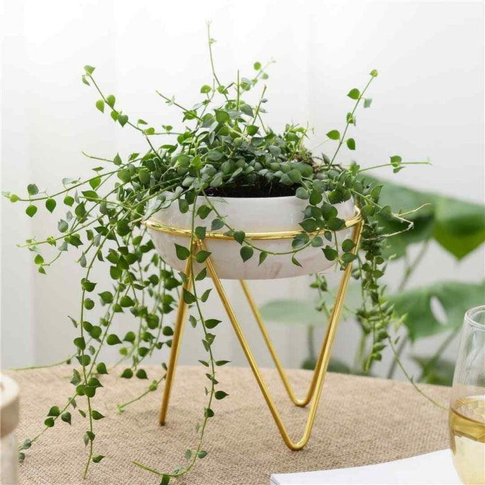 Buy Planter - Bowl Planter with Stand for Home Decor & Flower Plant Pot | Urn Vase by ISAAKA on IKIRU online store