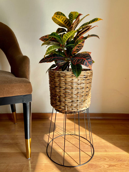 Buy Planter - Brown Seagrass Floor Planter with Stand | Standing Pot For Indoor Decoration by House of Trendz on IKIRU online store
