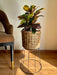 Buy Planter - Brown Seagrass Floor Planter with Stand | Standing Pot For Indoor Decoration by House of Trendz on IKIRU online store