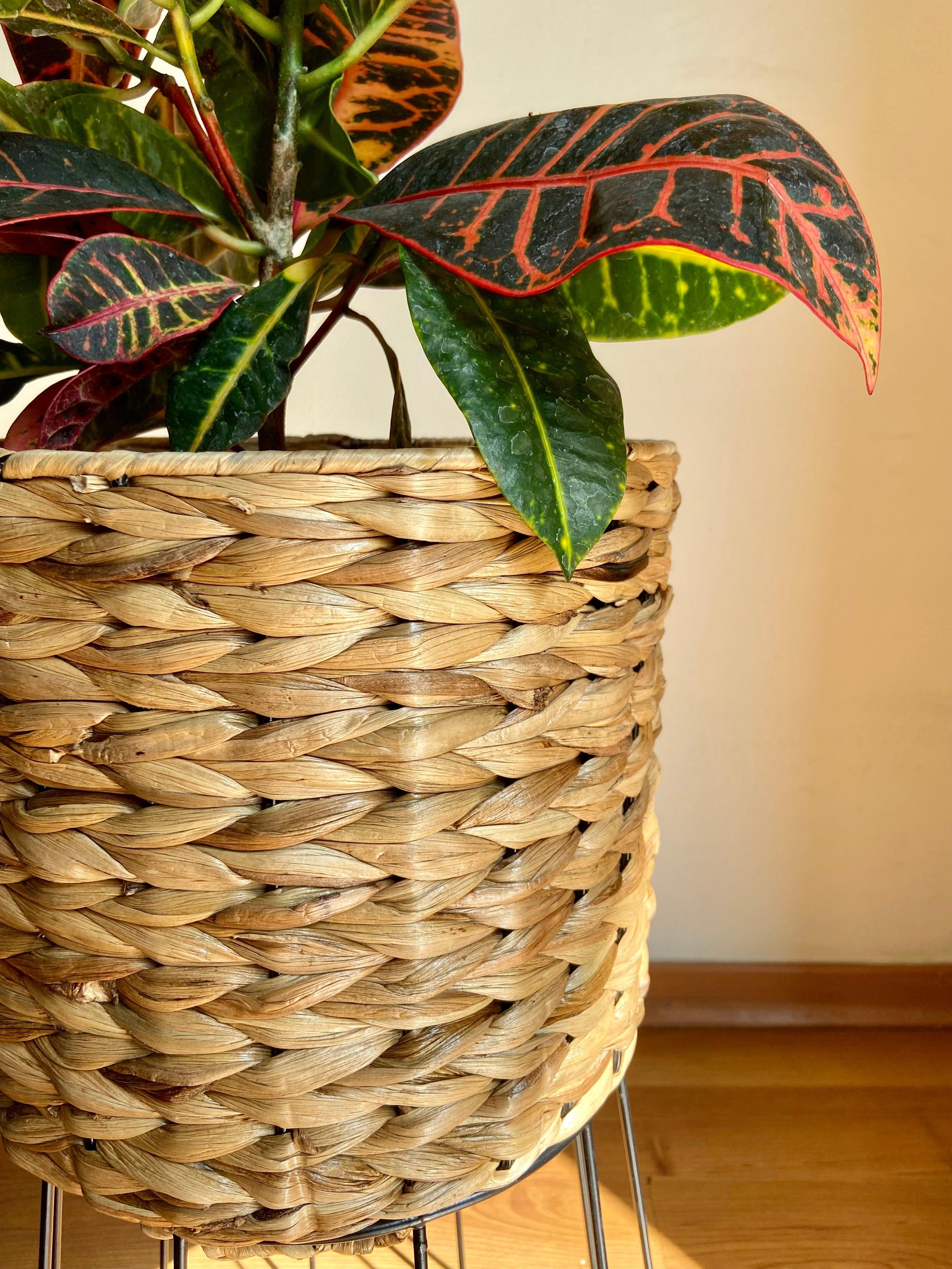 Buy Planter - Brown Seagrass Floor Planter with Stand | Standing Pot For Indoor Decoration by House of Trendz on IKIRU online store