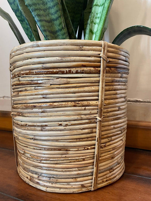 Buy Planter - Cane Handmade Planter | Spiral Design Gamla For Balcony & Garden by Tesu on IKIRU online store