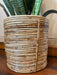 Buy Planter - Cane Handmade Planter | Spiral Design Gamla For Balcony & Garden by Tesu on IKIRU online store