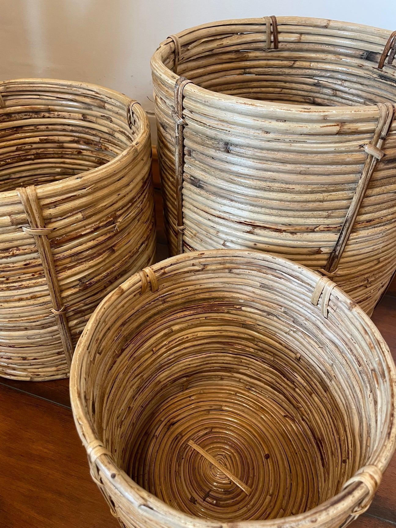 Buy Planter - Cane Handmade Planter | Spiral Design Gamla For Balcony & Garden by Tesu on IKIRU online store