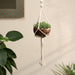 Buy Planter - Coconut Shell Macrame Plant Hanger by Thenga on IKIRU online store