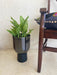 Buy Planter - Decorative Black Floor Planter On a Pedestal | Flower Pot For Indoor & Outdoor Decor by House of Trendz on IKIRU online store