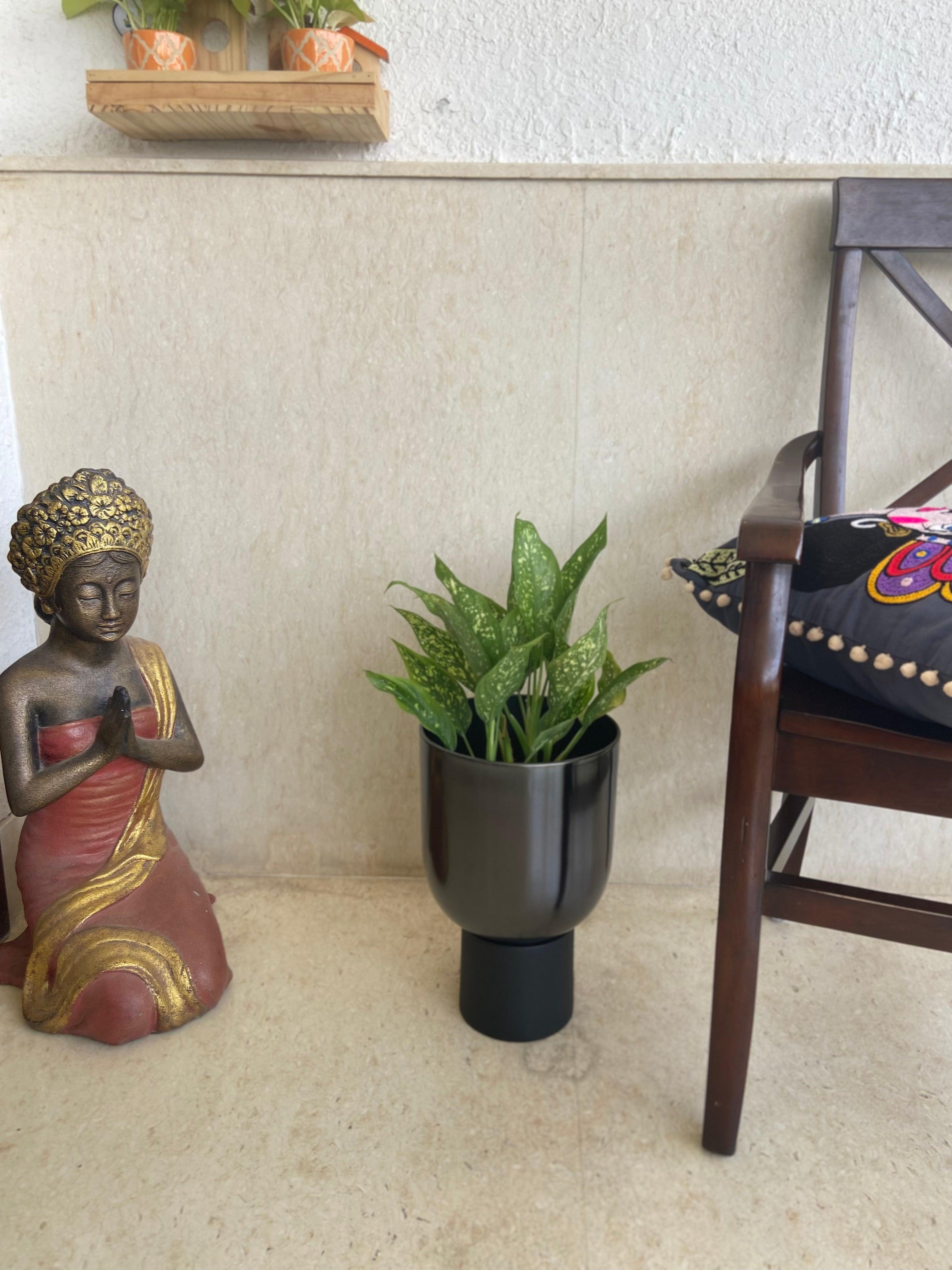 Buy Planter - Decorative Black Floor Planter On a Pedestal | Flower Pot For Indoor & Outdoor Decor by House of Trendz on IKIRU online store
